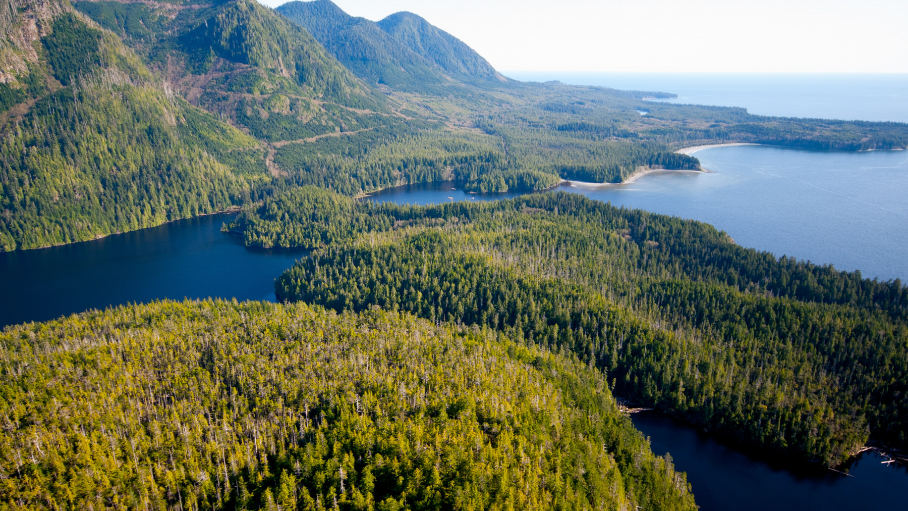Financial information for Nature United in 2017.